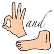 プログラムのアイコン：Hand and Foot Calculator