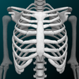 プログラムのアイコン：Osseous System in 3D Anat…