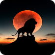 プログラムのアイコン：Animal Wallpapers HD