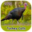 程序图标：Turkey Calls 2020