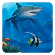 プログラムのアイコン：Ocean  Live Wallpaper