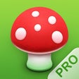 Icon of program: Pilze 123