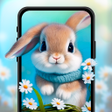 程序图标：Live wallpapers 4k wallpa…
