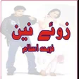 プログラムのアイコン：tery naion par fida hoon