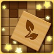 Иконка программы: Block Puzzle: Hidden Pic