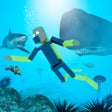 Programın simgesi: Underwater Ragdoll Playgr…