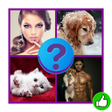 Icon of program: 4 картинки 1 слово 4 Фото…