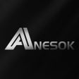 Icoon van programma: ANESOK