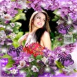 Icoon van programma: Flower Blossom Photo Fram…