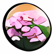 Icon of program: Realtime Landscaping Plus…