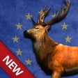 Bow Hunting Europe: Wild Animals Hunter  Sport Target Shooting