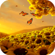 Ikona programu: Video Wallpapers: Sunflow…