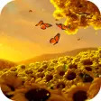 Video Wallpapers: Sunflowers H