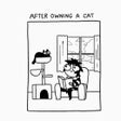 Programın simgesi: After Owning a Cat