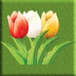 Ícone do programa: Tulip Singles