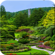 ไอคอนของโปรแกรม: nature wallpaper