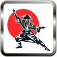 程序图标：Kung Fu - wing chun Train…