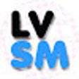 LVSM 번역기