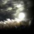 Programikonen: Battlefield Sekiro Live W…