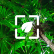 Icoon van programma: Nature Wallpaper HD