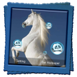 Icono de programa: Horses Live Wallpaper