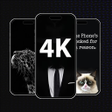 Programın simgesi: Black Wallpapers 4K HD Da…