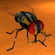 Be the Fly icon