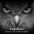 程序图标：EagleEyesLite