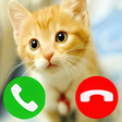 プログラムのアイコン：Fake Call from cat game S…