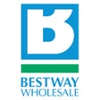 프로그램 아이콘: Bestway Wholesale