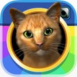 程序图标：InstaKitty3D