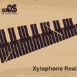 プログラムのアイコン：Xylophone Real: 2 mallet …