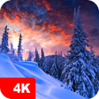程序图标：Winter Wallpapers 4K