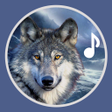 程序图标：Wolf Sounds - Wolf Ringto…