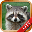 أيقونة البرنامج: Animals for Kids