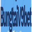 Ikon program: Bungtai V9bet