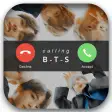 BTS Call Fake And Chat