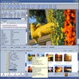 Icon of program: Dimin Viewer n5