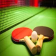 Icon of program: Infinite Ping Pong