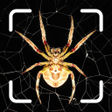 Icon of program: Spiders identifier - Post…