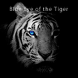 プログラムのアイコン：Blue Eye of the Tiger