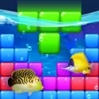 程序图标：Block Puzzle Fish  Free P…