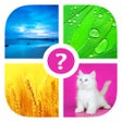 Words  Pics  Free Photo Quiz. Whats the word icon
