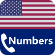 USA Phone Numbers Receive SMS