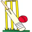 Cricket Score Counter