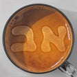 Иконка программы: Cafe Hebrew: Safari