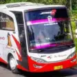 PO Haryanto Bus Indonesia