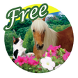 Beautiful Forest Free LWP icon