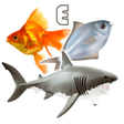 Ikona programu: Fish Types | Goldfish Sal…