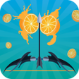 程序图标：Fruit Shoot - Archery Gam…